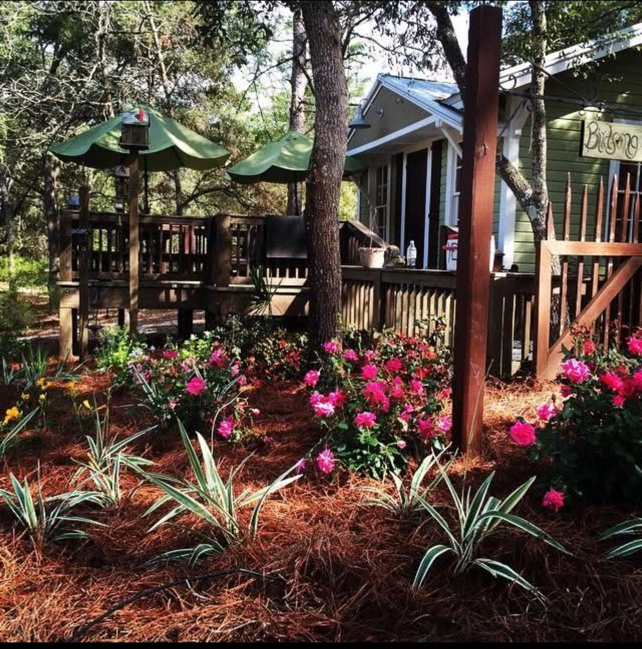 planting landscape pavers irrigation